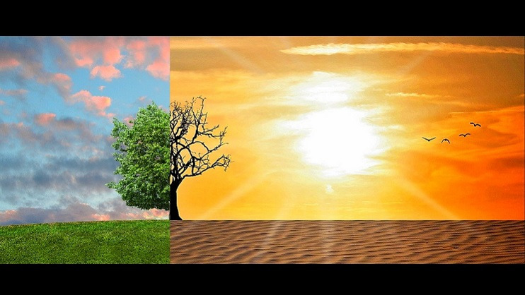 links grün mit Baum und Wolken und rechts Wüste mit Sand und Sonne